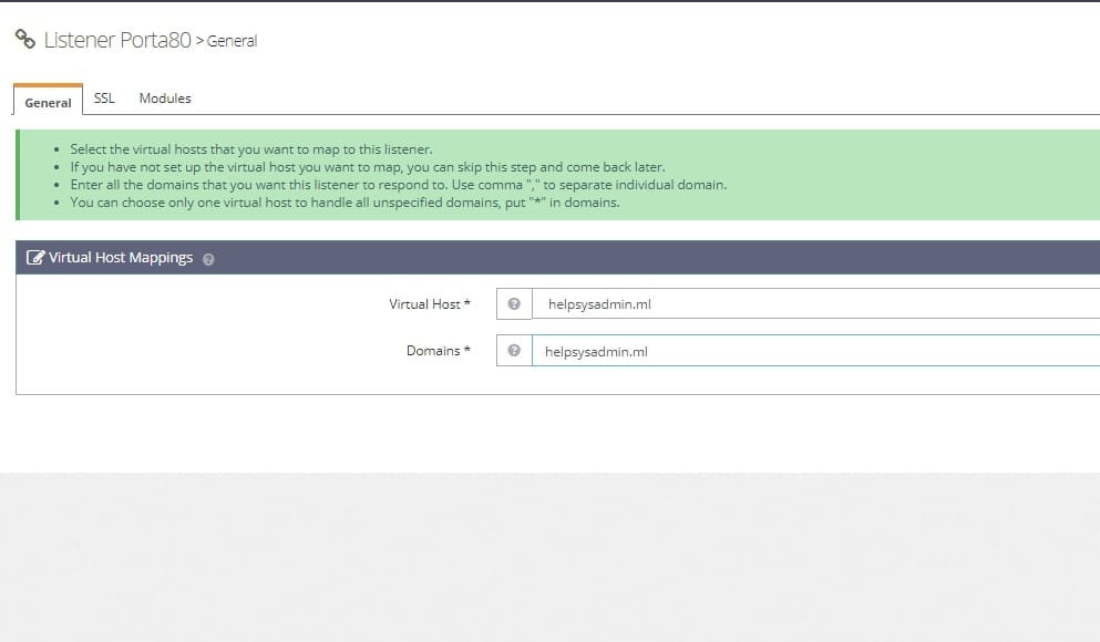 Listene porta 80 Openlitespeed